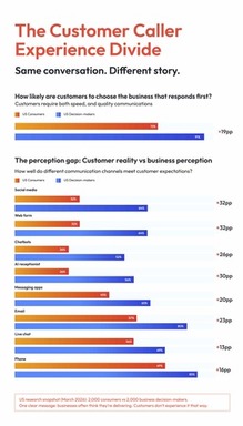 Customer Divide Infographic.jpg